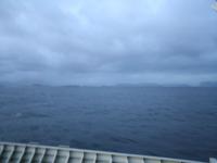 IMG_0619.JPG