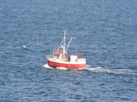 IMG_0650.JPG