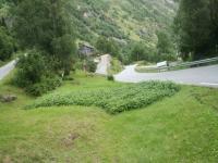 IMG_0770.JPG