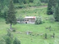 IMG_0803.JPG