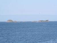 IMG_1029.JPG