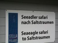 IMG_1143.JPG
