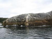 IMG_1184.JPG
