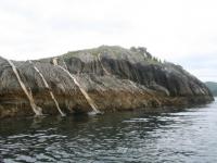 IMG_1185.JPG