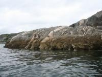 IMG_1186.JPG