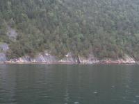 IMG_1194.JPG