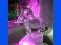 IMG_1248.JPG