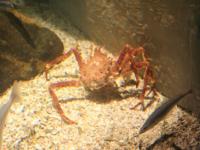 IMG_1388.JPG