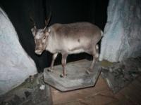 IMG_1410.JPG