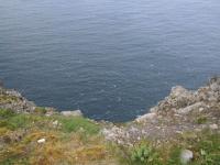 IMG_1461.JPG