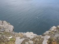 IMG_1477.JPG